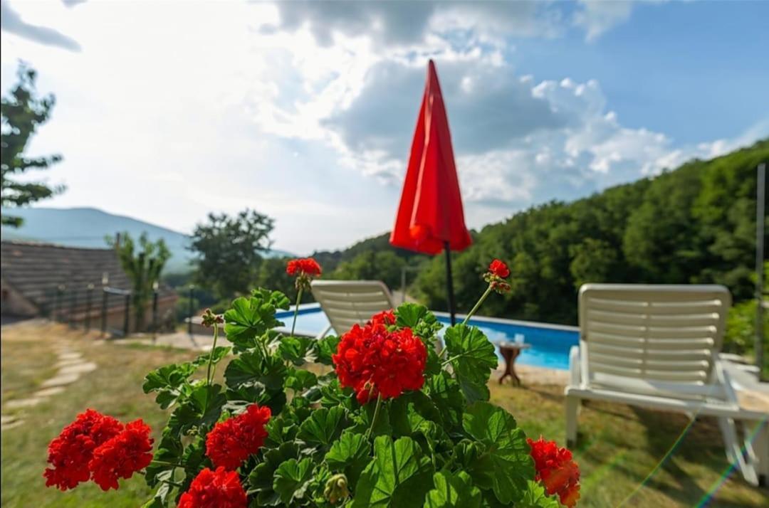 Honey House Villa Grabovac  ภายนอก รูปภาพ